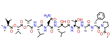 Grassystatin A